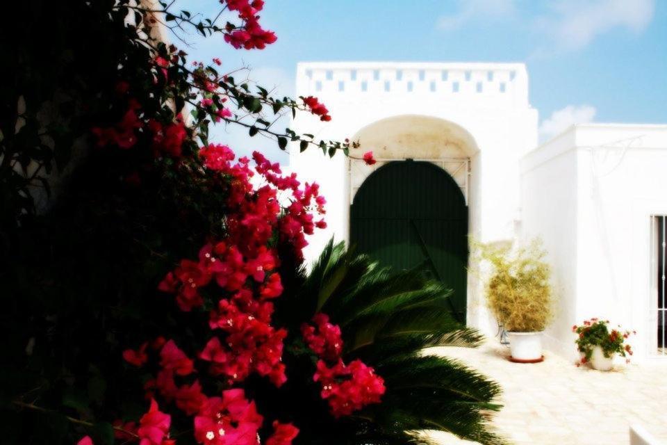Masseria Boezio Ostuni Panzió Torre Santa Sabina Kültér fotó